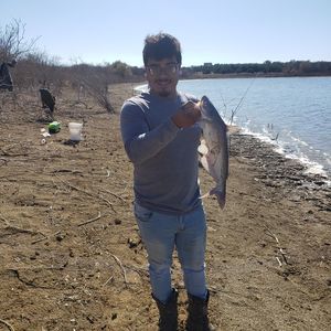 Meet your Posher, Mateo